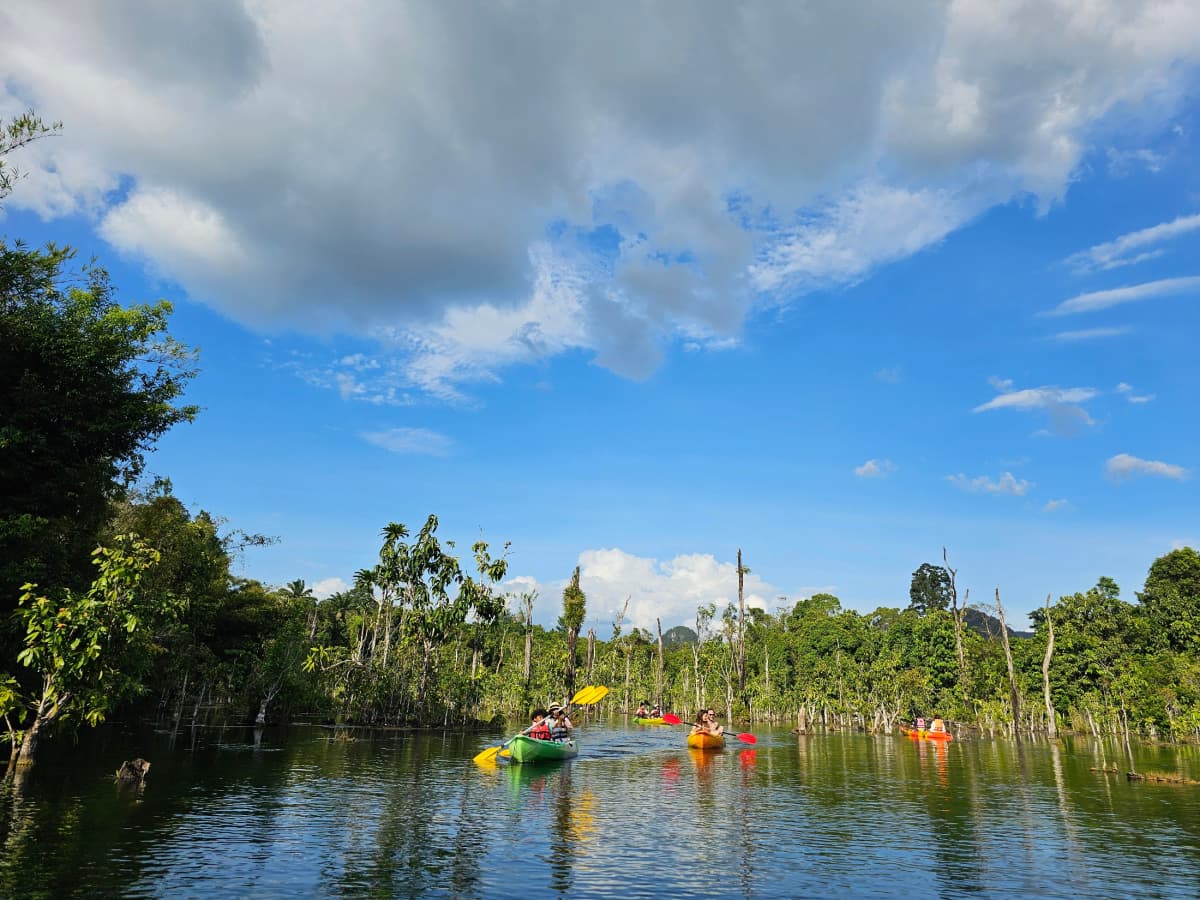 Krabi Kayaking Klong Root Viewpoint